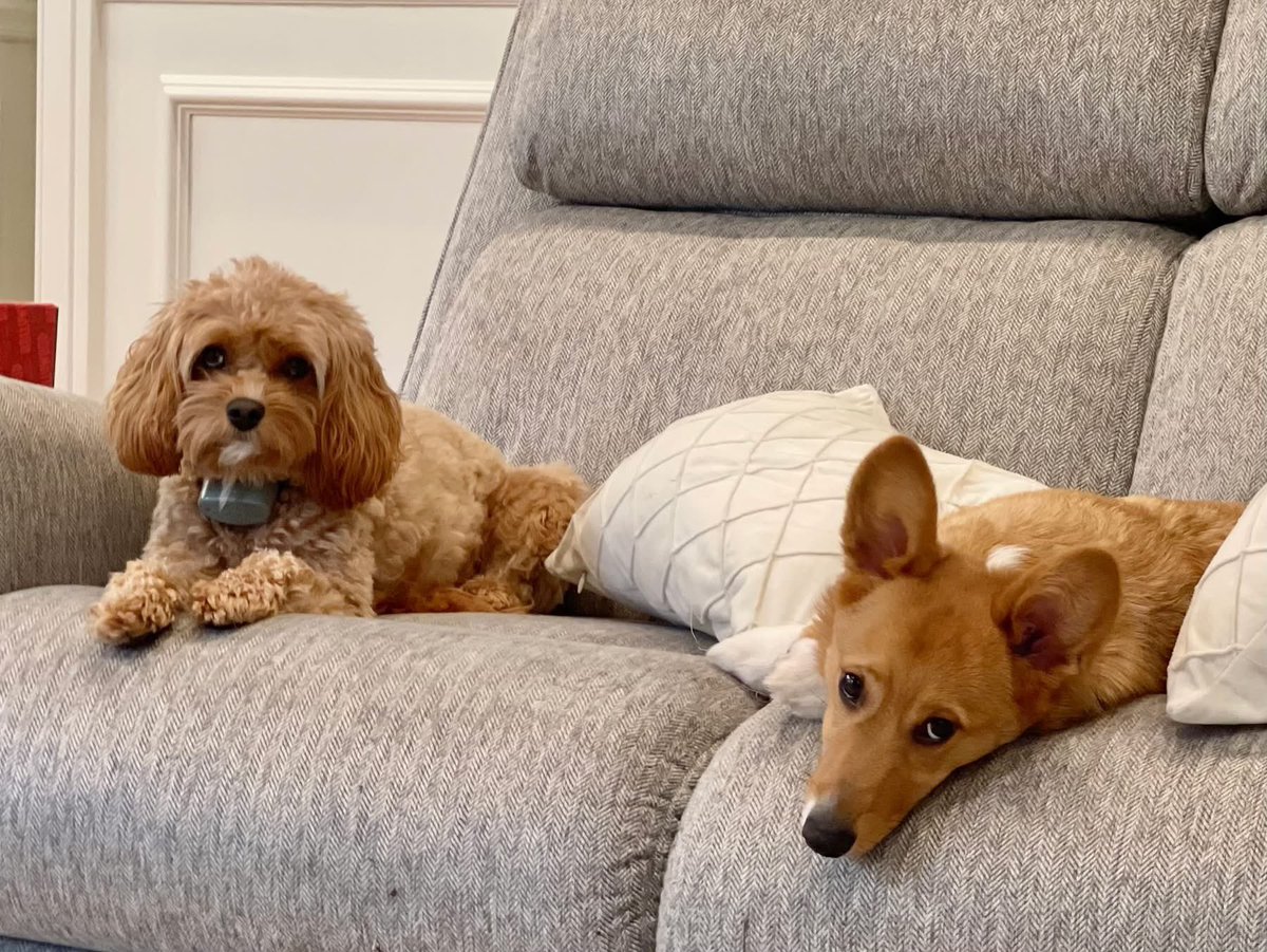 James Walker tweet media