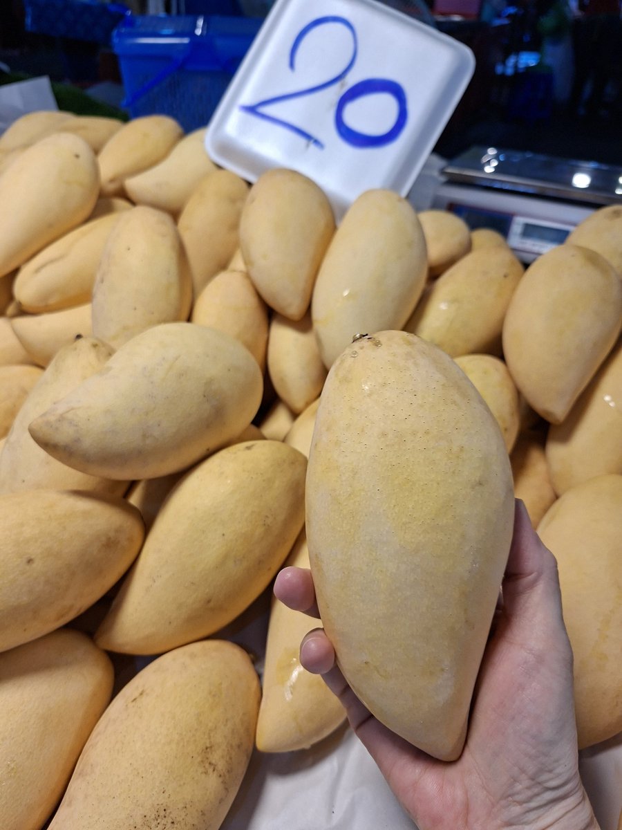 Akbkk🇯🇵🇹🇭🟠 tweet media