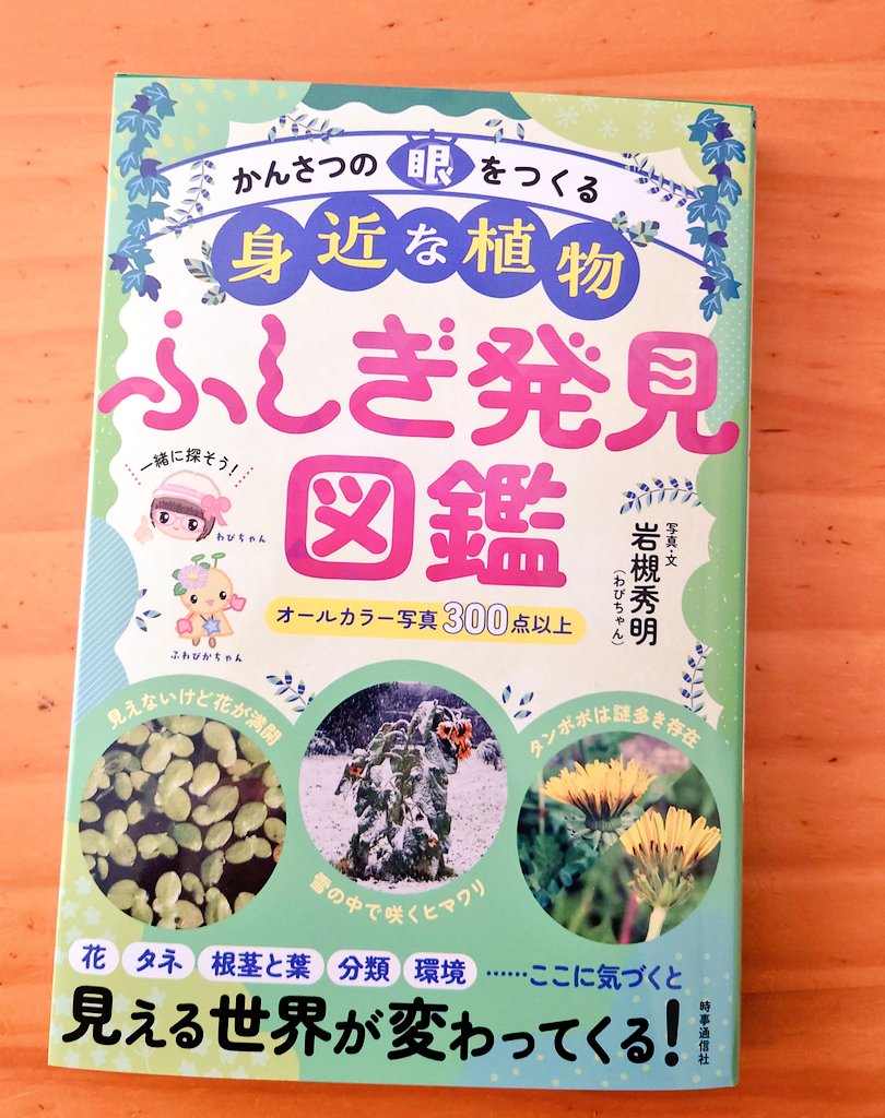 三齢(サンレイ)4/25,5/23弾き語り tweet media