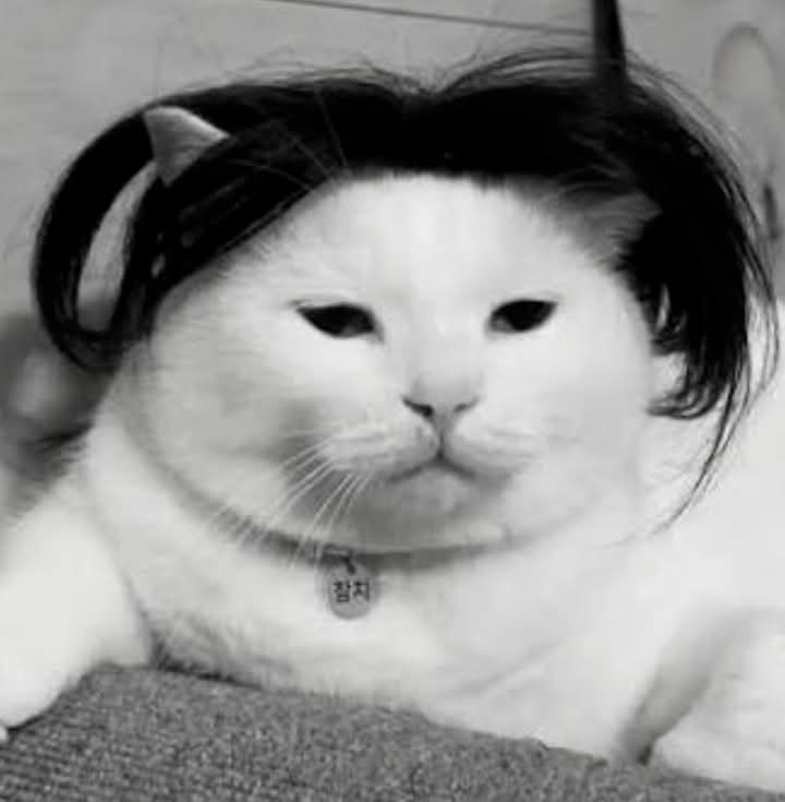 TQwarks's tweet image. Mr Flowers says he's visiting his stylist next week to prepare for the album launch, but can't decide which cut to go for. Anyone have a favourite?

#Style #Haircut #Brand