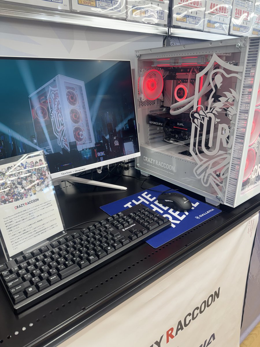 今日は天気がいいからって
散歩とかじゃなく
ドスパラに葛葉くん見に行ったりしたの