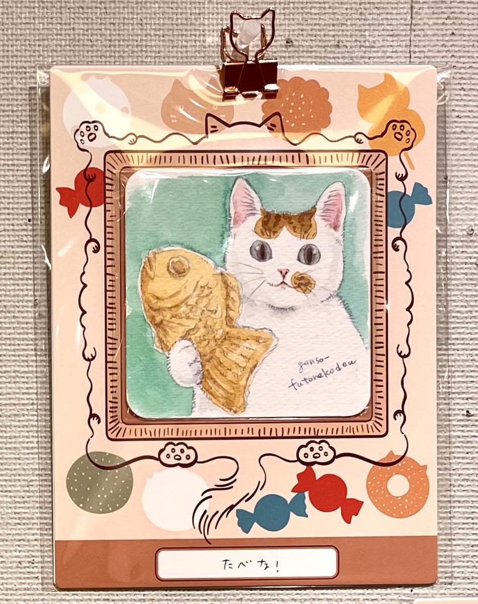 元祖ふとねこ堂 tweet media