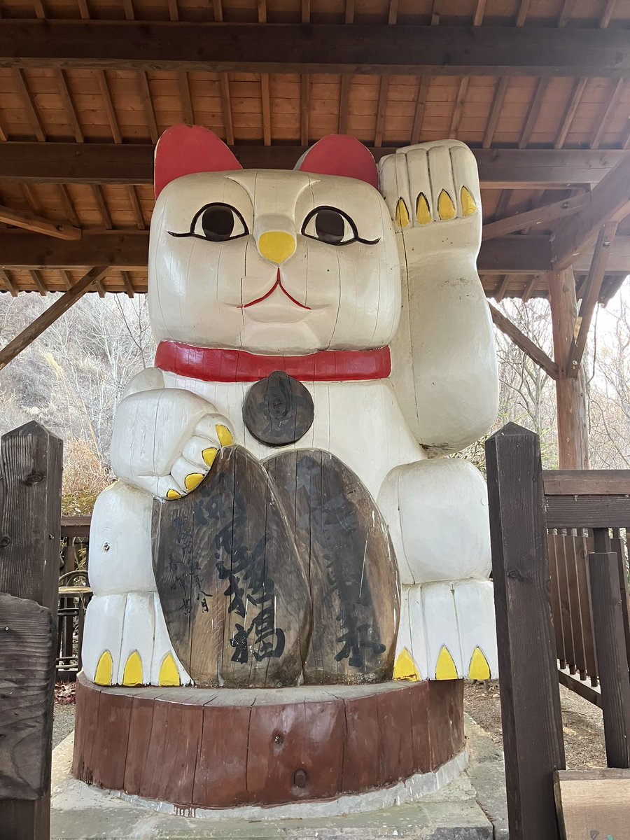 不定形生物 tweet media