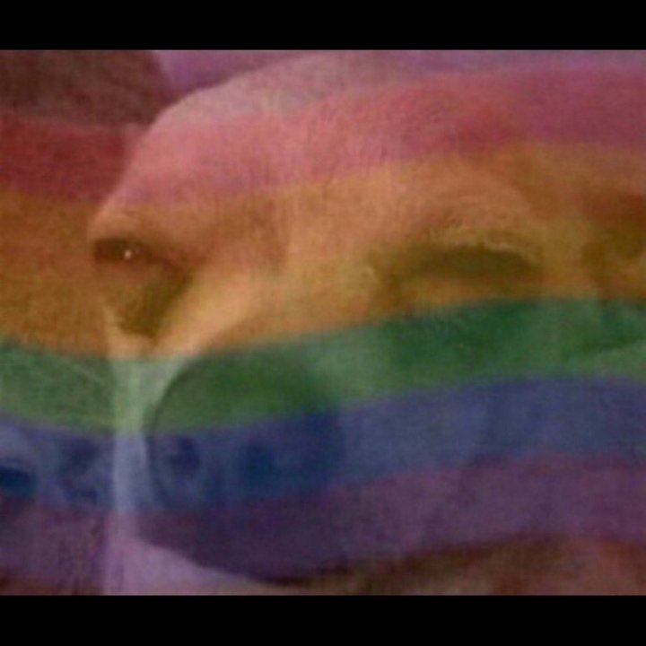 Akilex_official tweet media