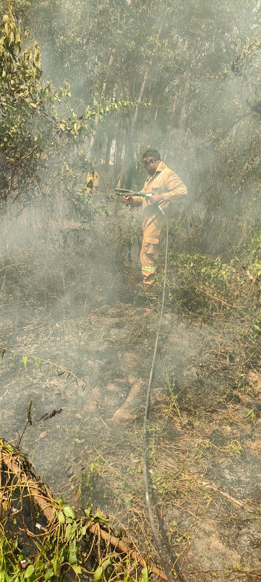 Siddharthnagar Fire & Emergency Services tweet media