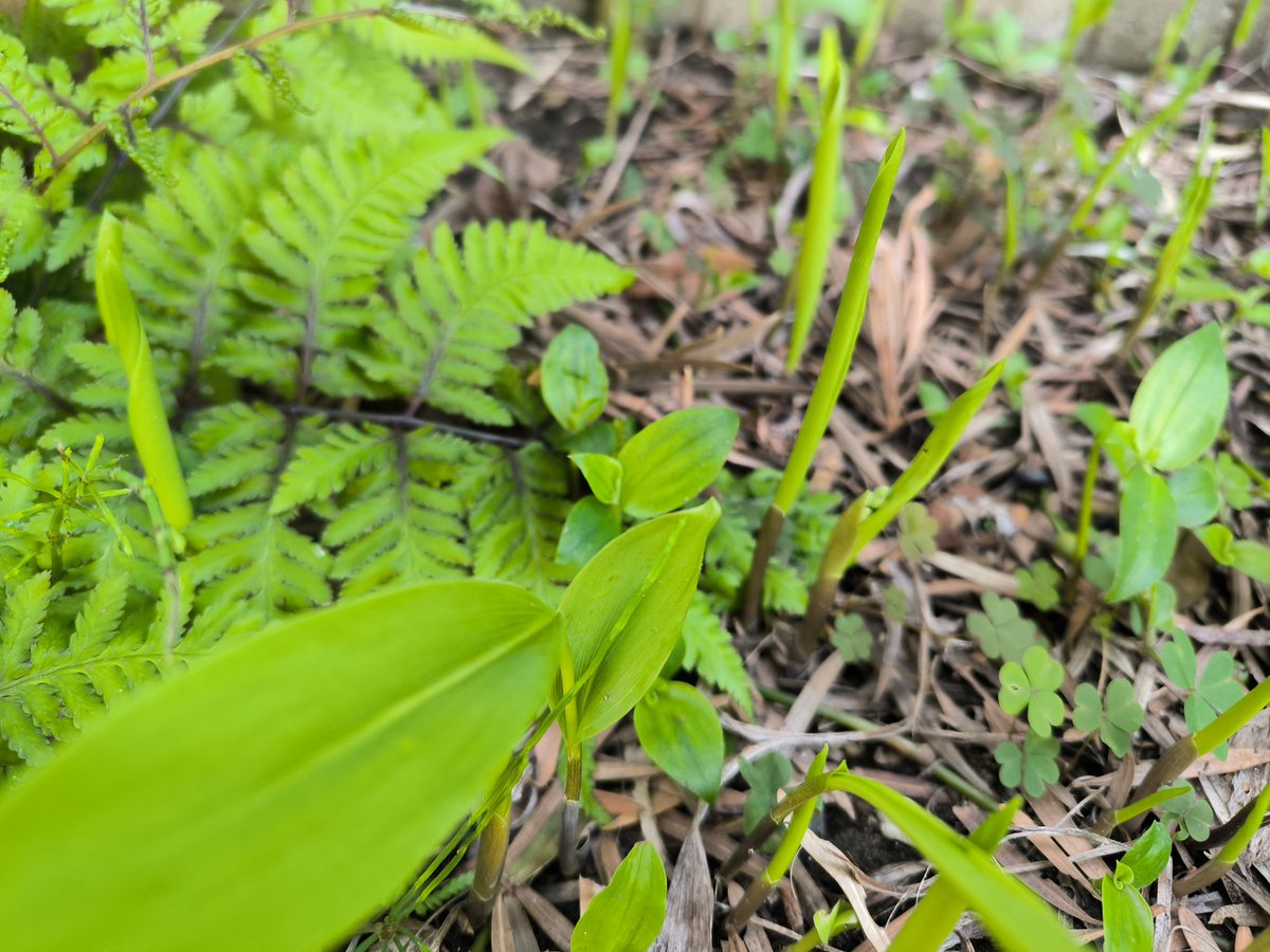 青い月🌙Blue Moon tweet media