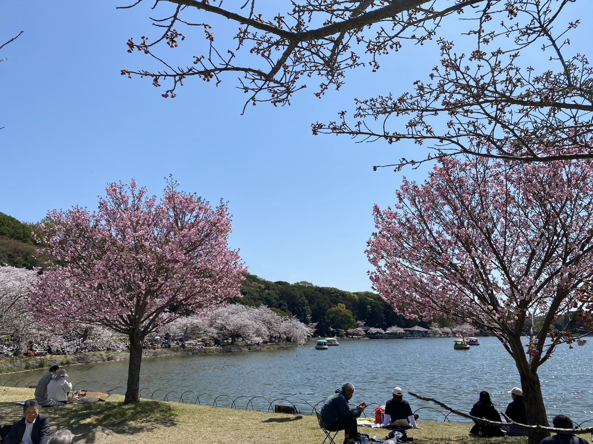 Jonathan Hiro tweet media