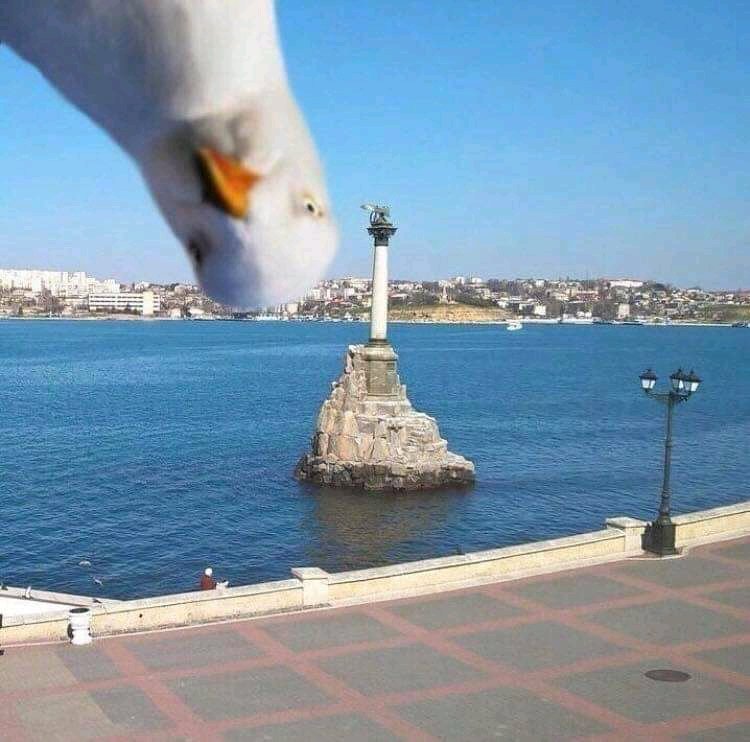 Eloy ☀️ tweet media