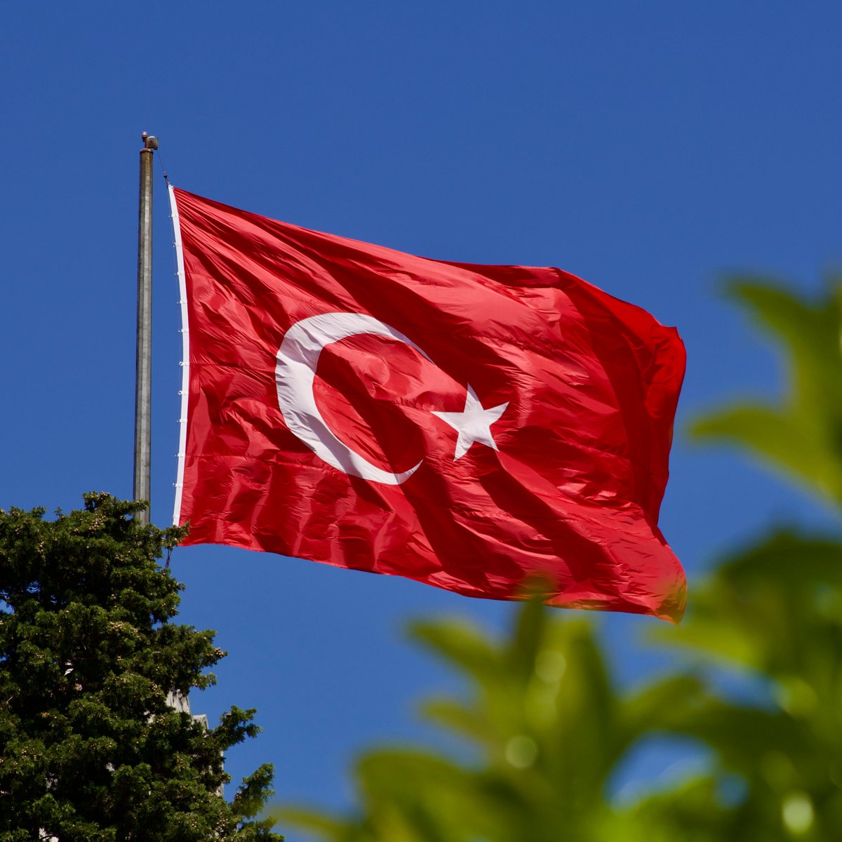 ibrahim Haskoloğlu tweet media