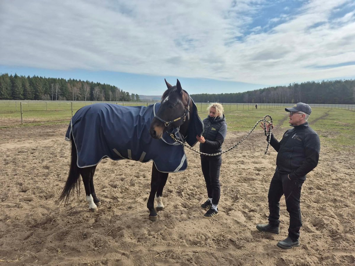 Martinolsson40's tweet photo. Tack @Stall_Nordstrom och @travpuls för 30 års presenten att få träffa Önas Prince och rundtur på gården 🐴👑

Nu vidare mot Jägersro! 🎉 https://t.co/eSDnY4OItZ