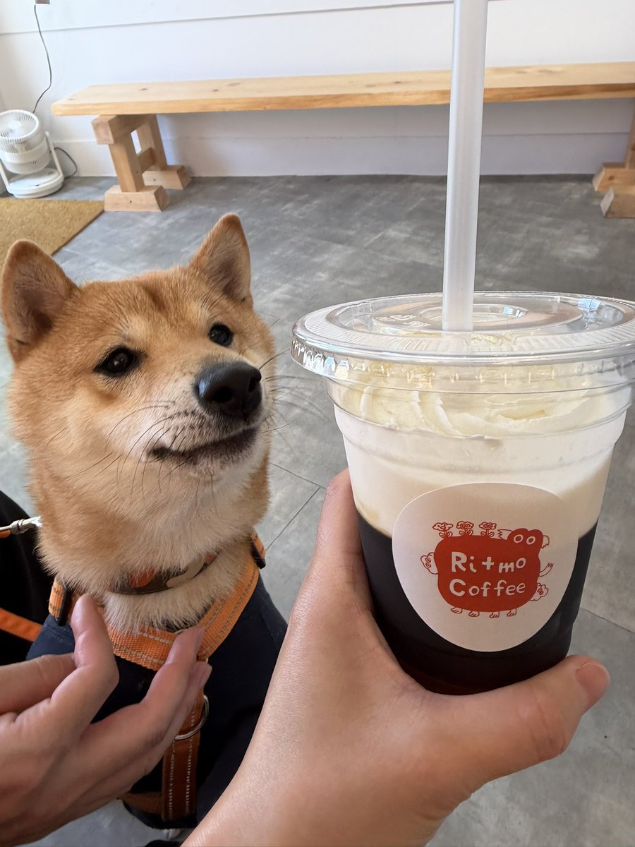 豆柴🐶育三郎 tweet media