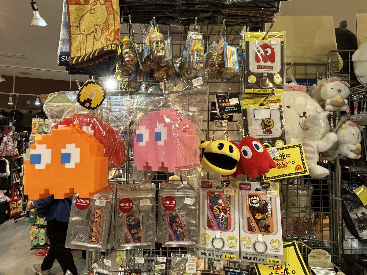 スパイダーウェブ tweet media