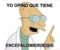 Veronica tweet media