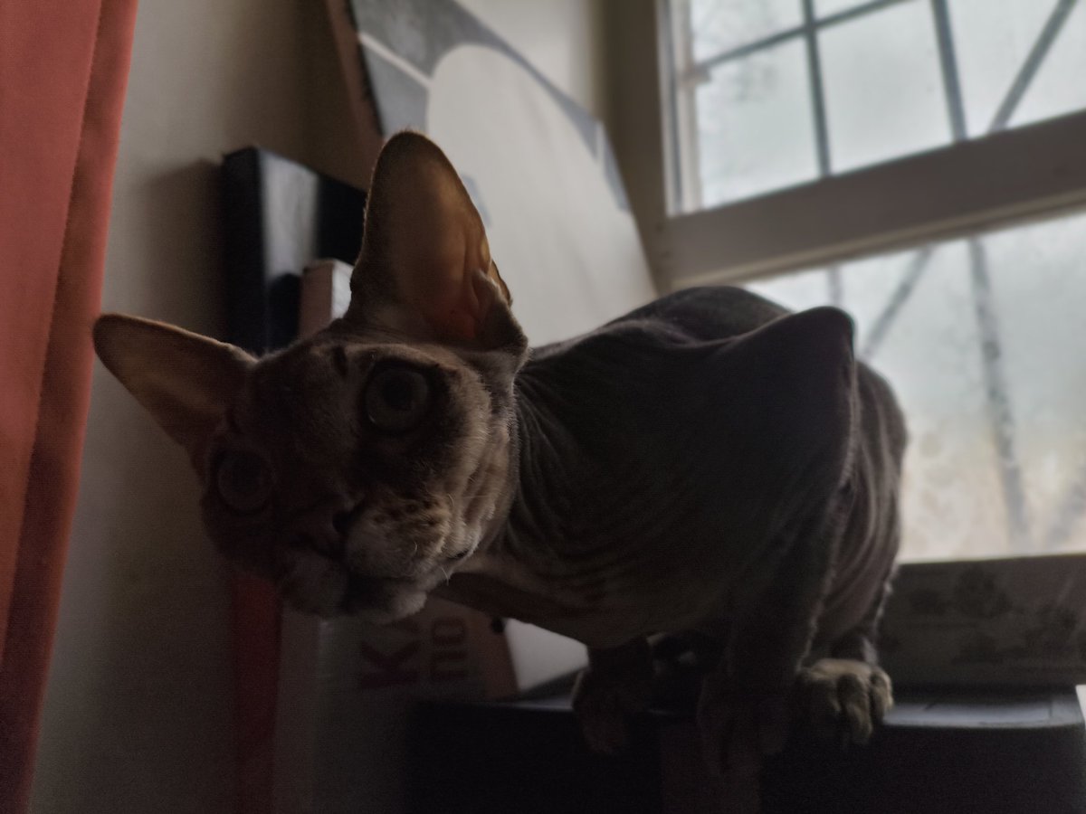 Вальдемар tweet media