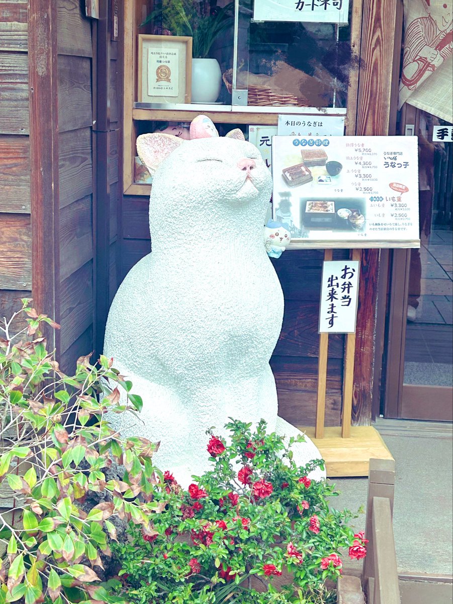 あゆみ tweet media