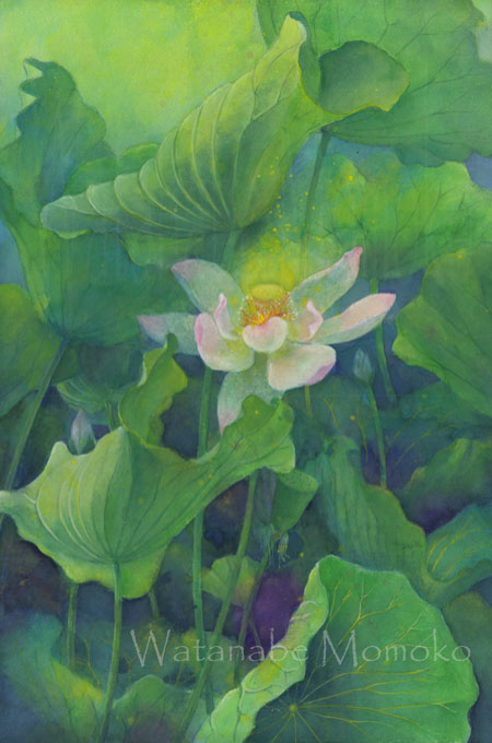 わたもも tweet media