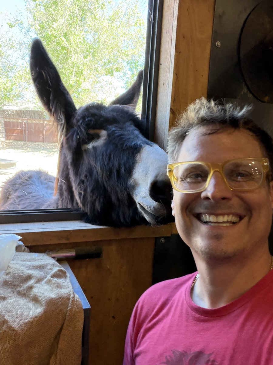 Dave Bateman tweet media