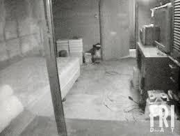 角由紀子のヤバイ帝国 tweet media