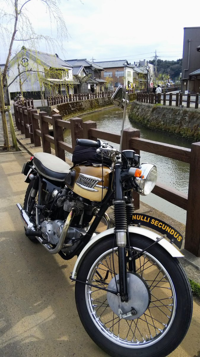 GRUPPO トラ山 tweet media