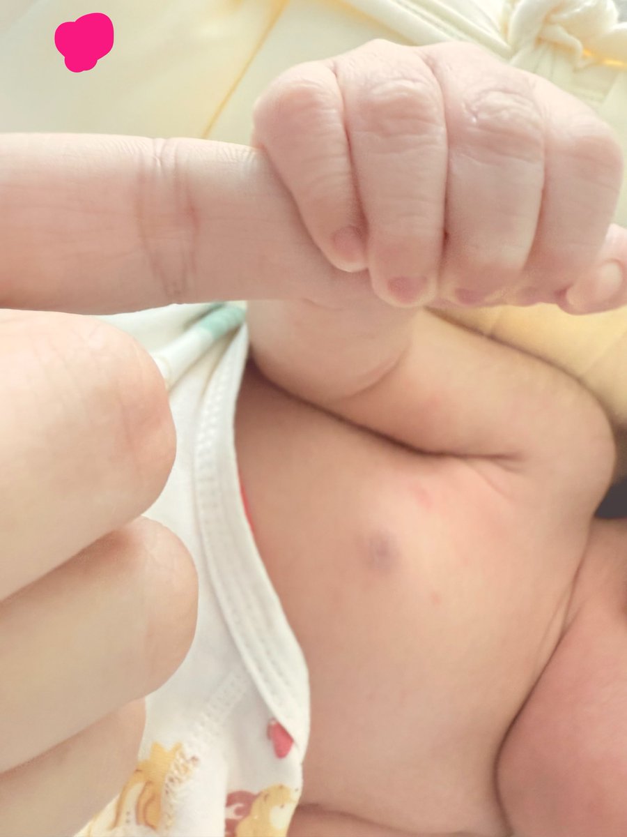 变态苦茶超甜 tweet media