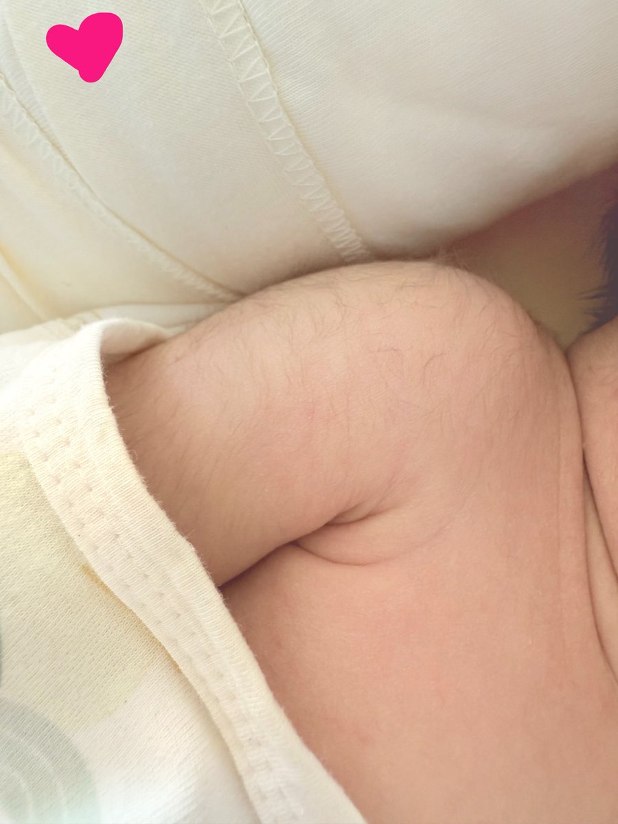 变态苦茶超甜 tweet media