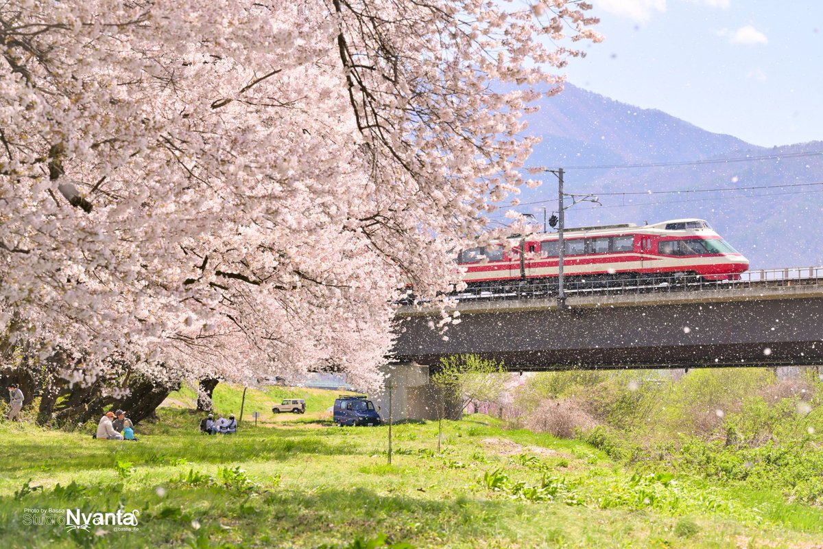 花の風

平地の桜はそろそろ終盤。
見事な花吹雪でした

長野電鉄1000系 特急ゆけむり
'26.4.11撮影