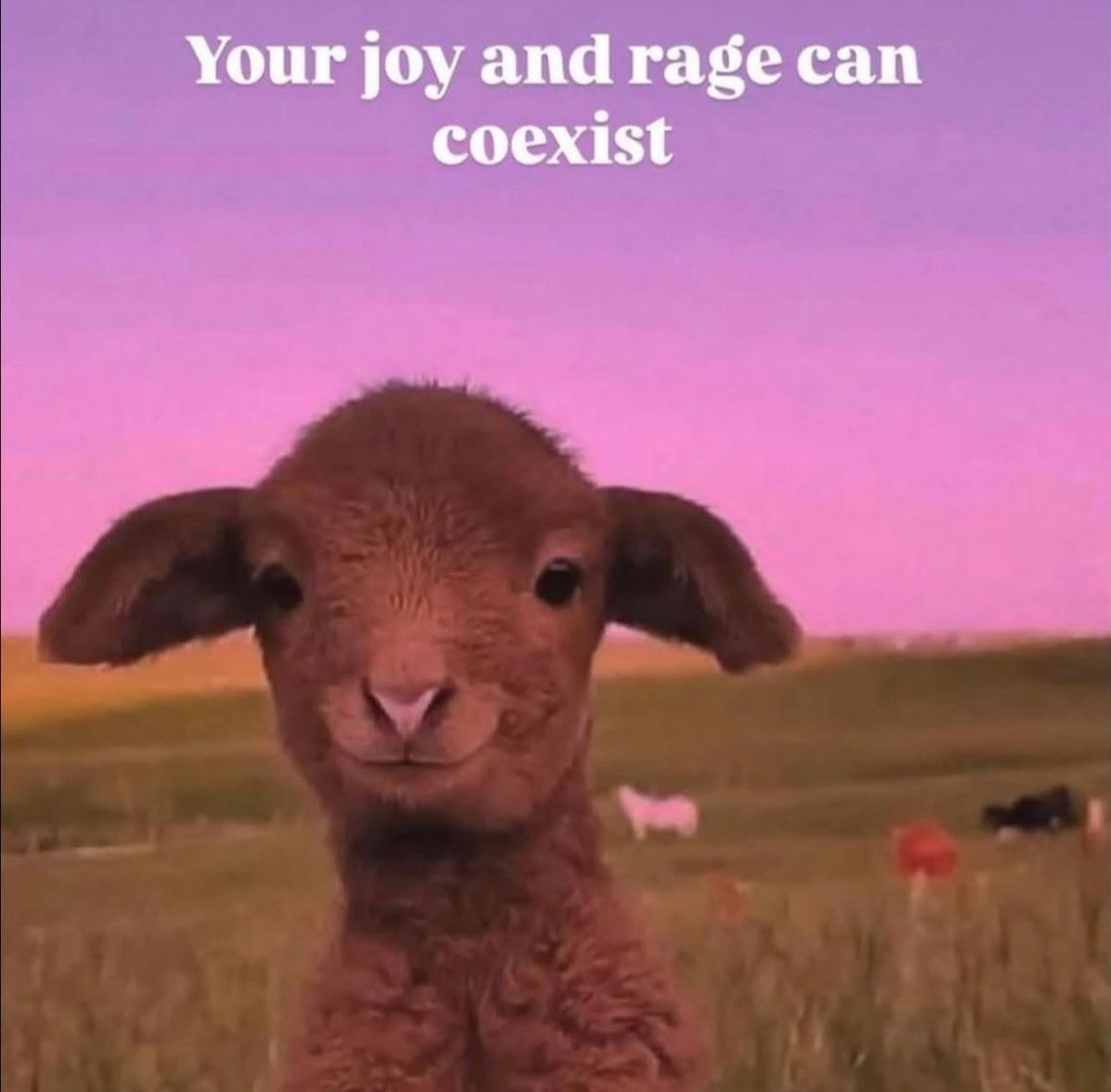 ADHD Memes (@adhdforreal) on Twitter photo 