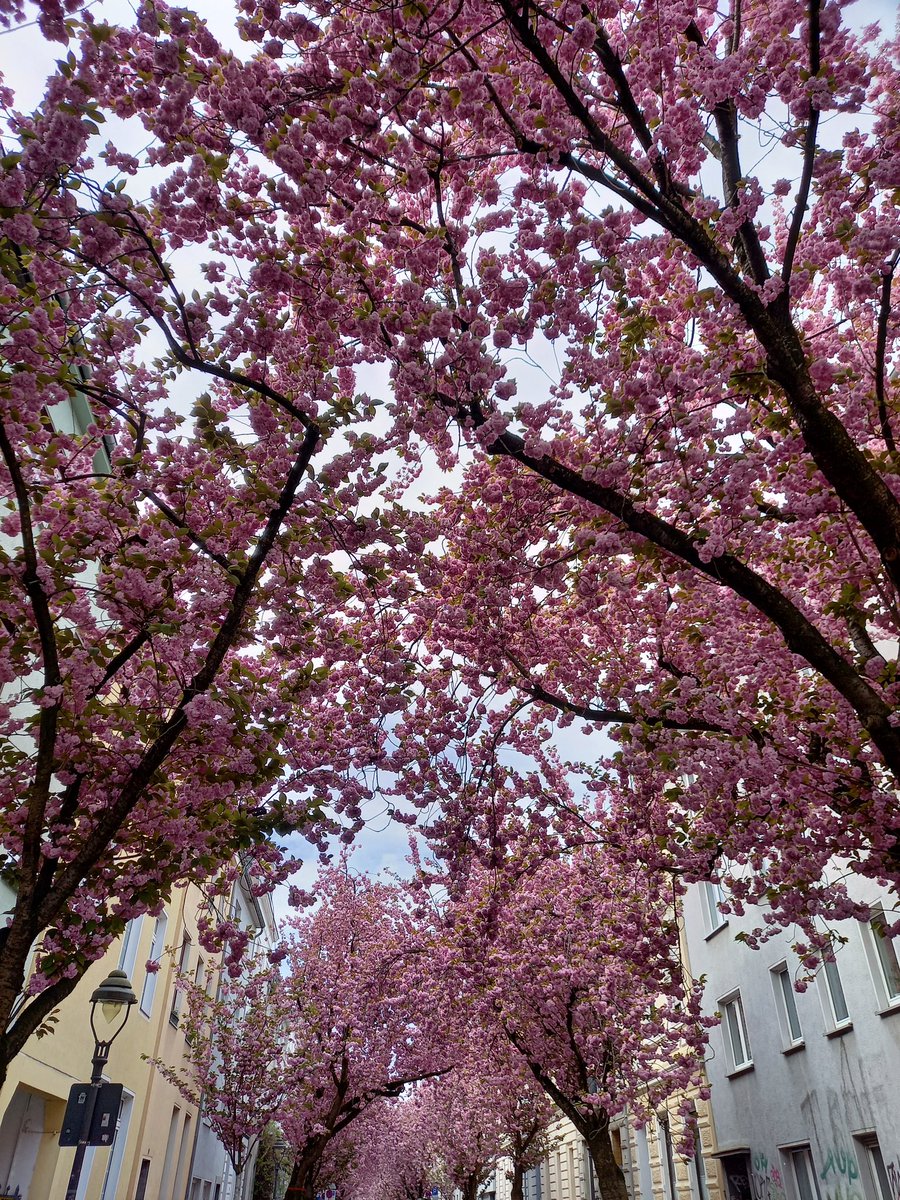 Swetilein tweet media