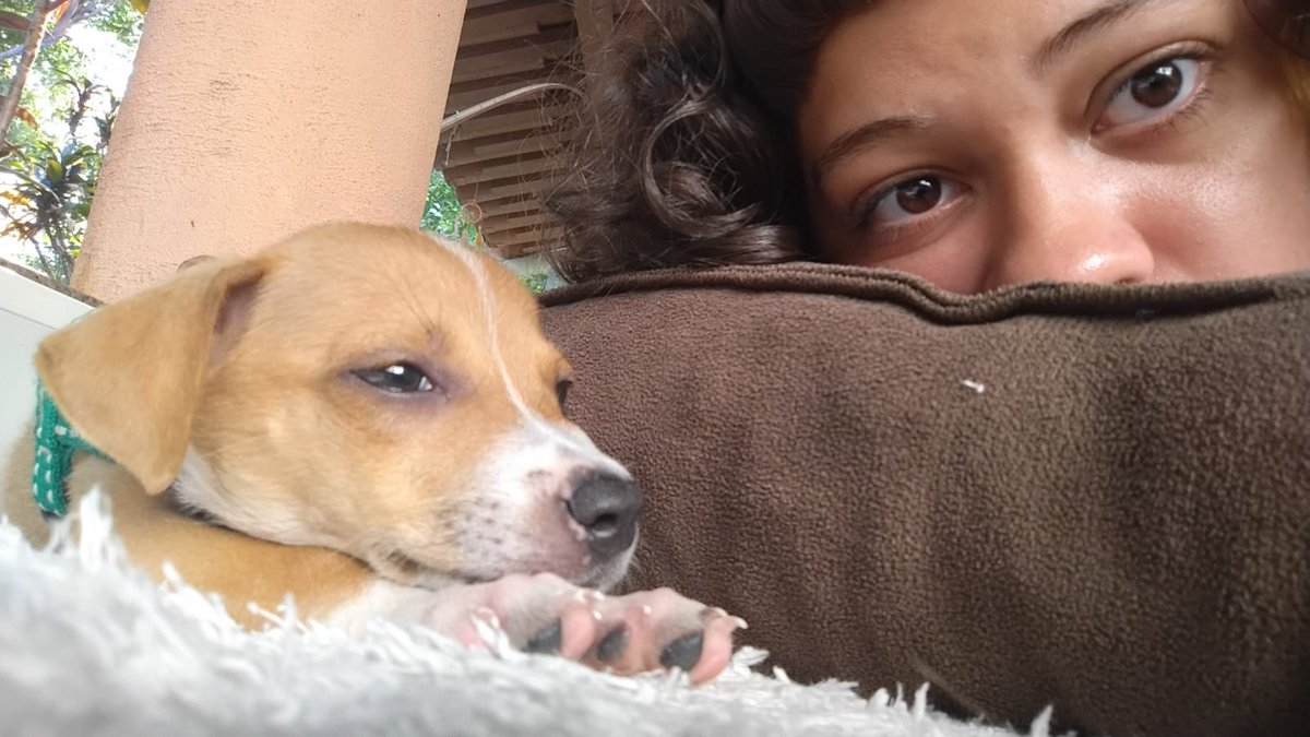 Padre nao-mono da igreja bola de gozo tweet media