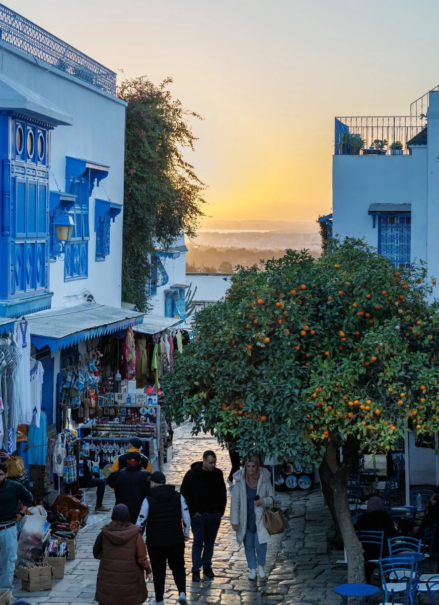 Farid Tabarki tweet media