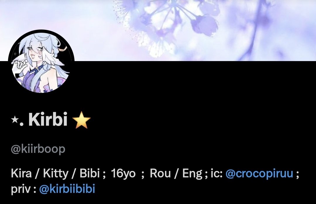 ⋆. Kirbi ⭐️ tweet media