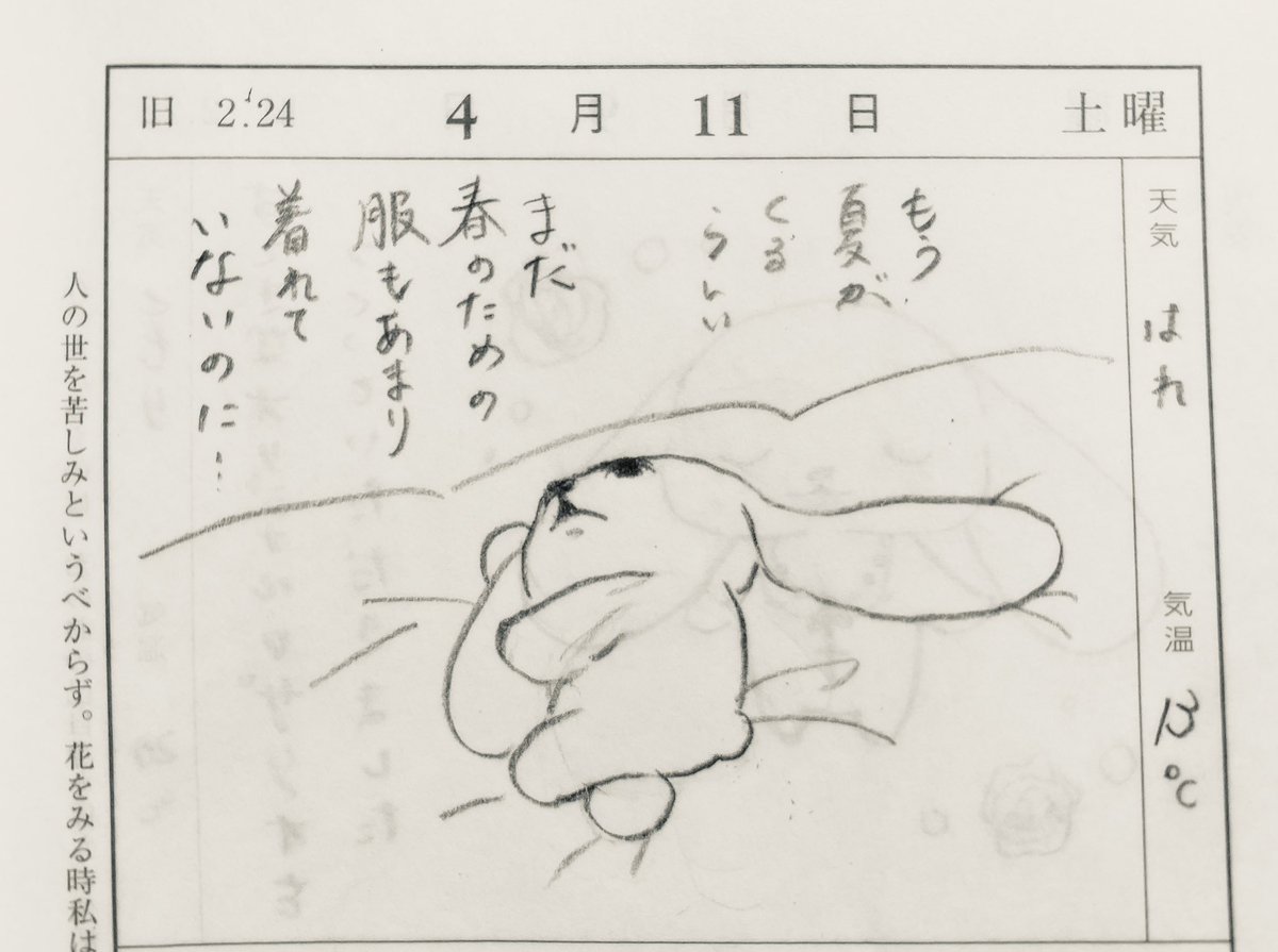 ひびき tweet media