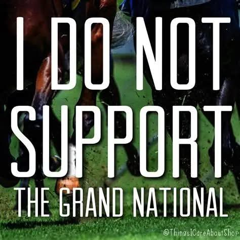 BAN HORSE RACING tweet media