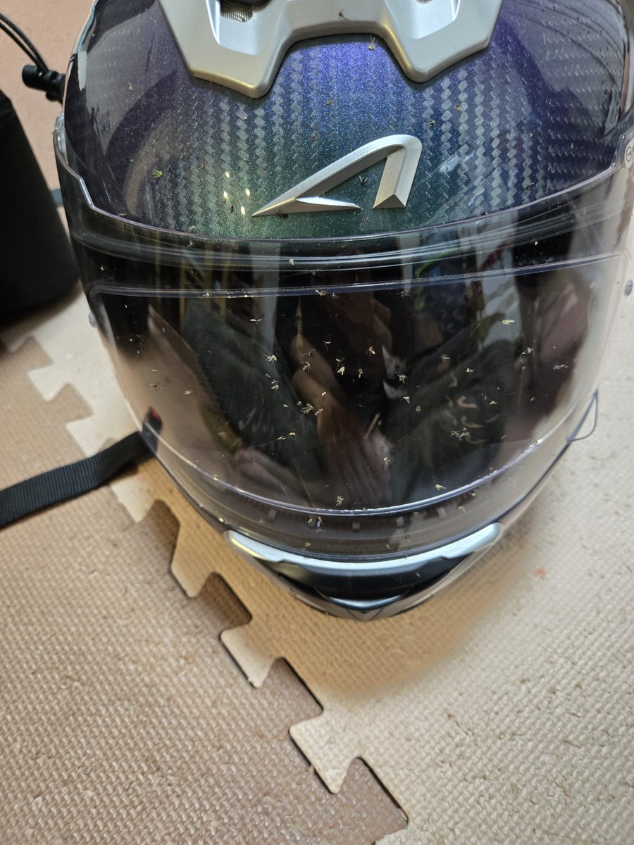 シマジ tweet media