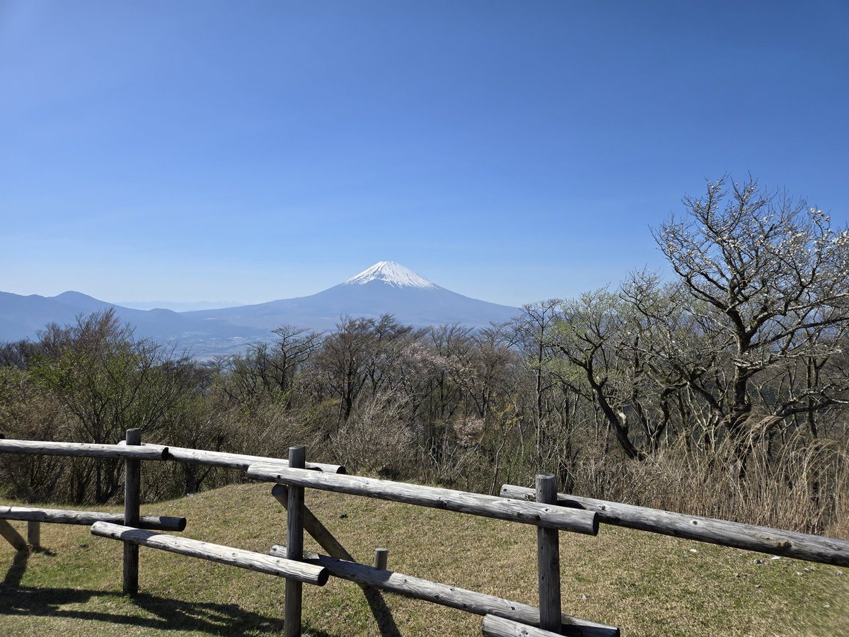 シマジ tweet media