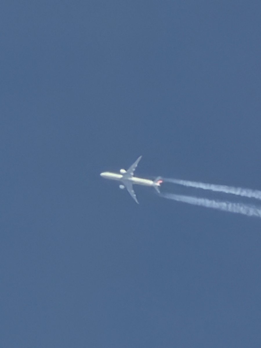 시바꺼 tweet media