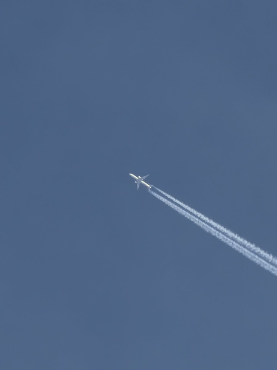 시바꺼 tweet media