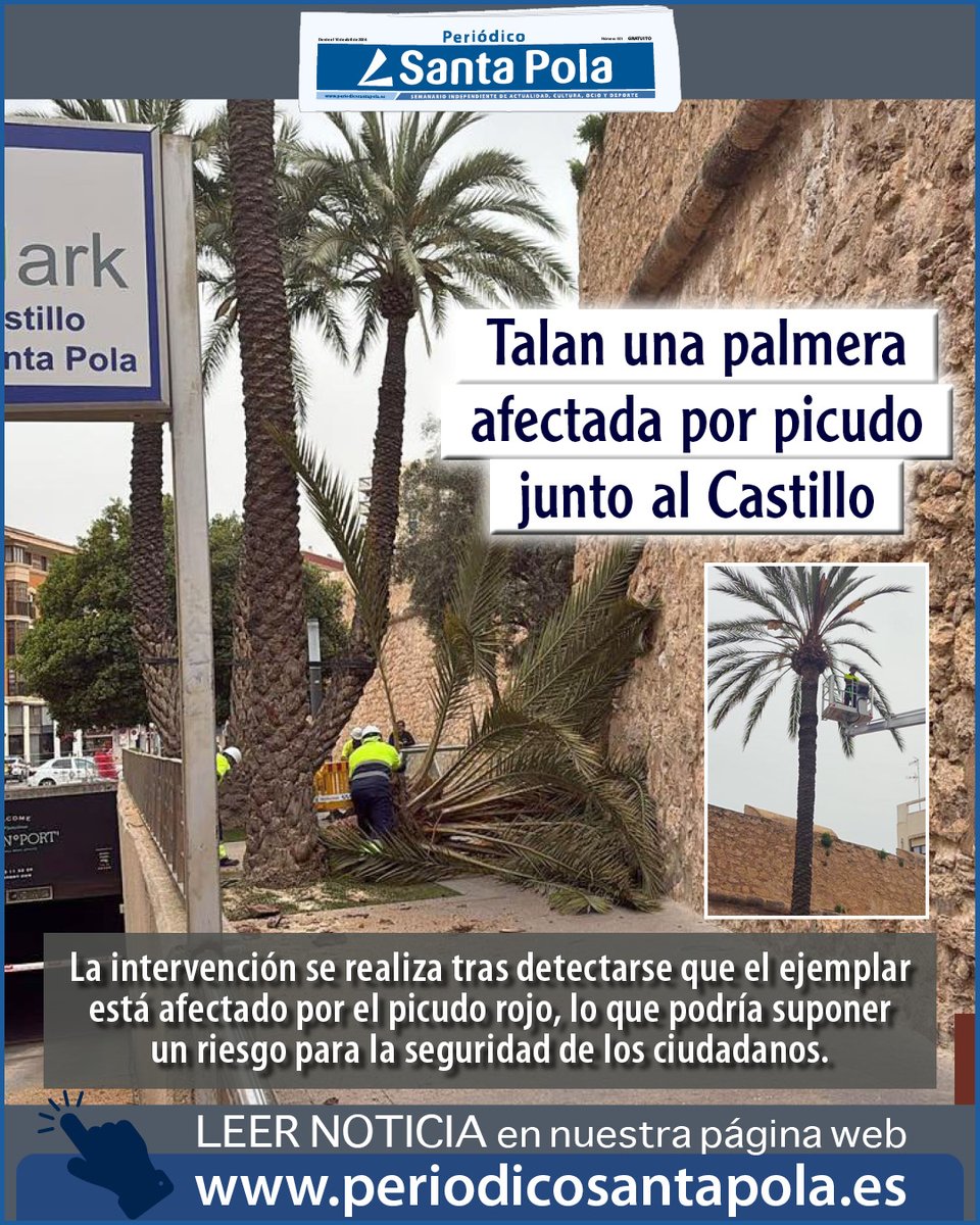 Periódico Santa Pola tweet media