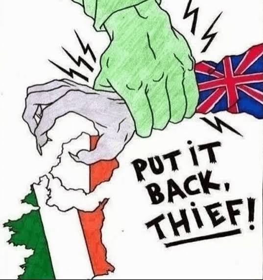 Fiasco Melastomo tweet media