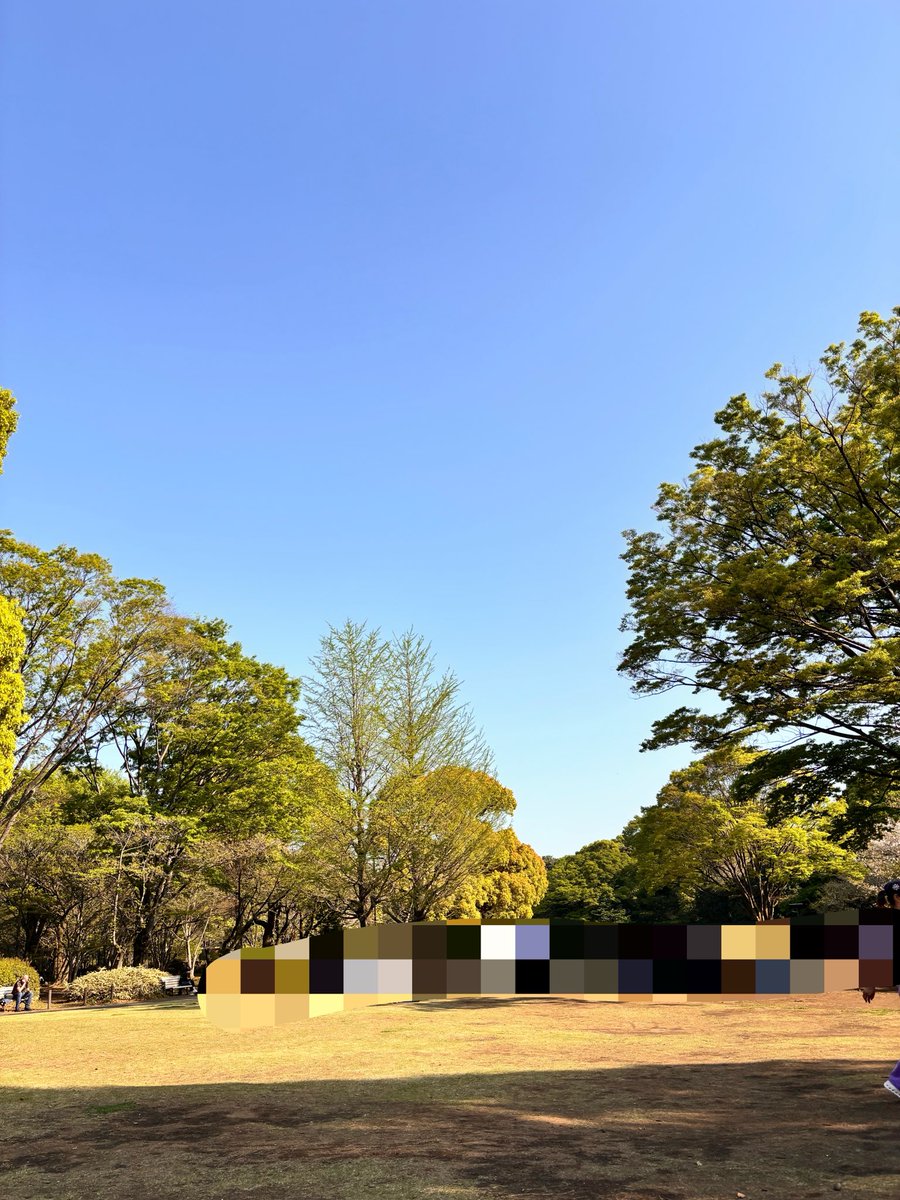 みかんα🍊 tweet media