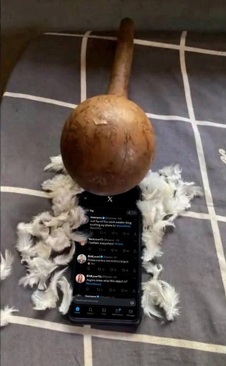 heisturnx's tweet image. I honestly didn't expect Elon Musk would actually pay and make it happen 😲
But he did.

Now, thanks to him, I was able to process my visa in just 4 hours... and I'm already outside the country!
Elon will never pass us by. 🚀🙏
#Grateful #ElonMusk