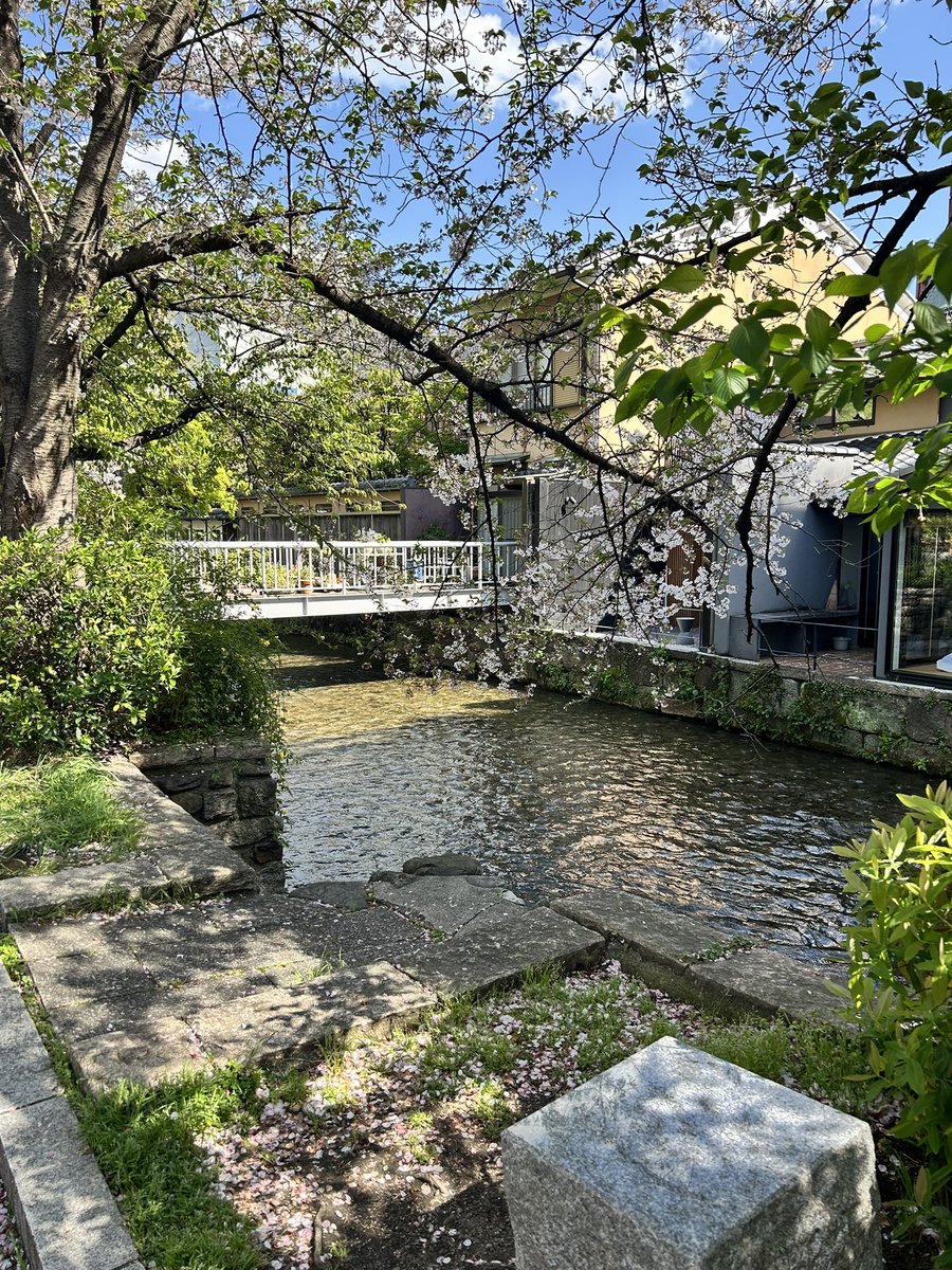 Nexxla 🪷🍰 【2.0 TBD】 tweet media