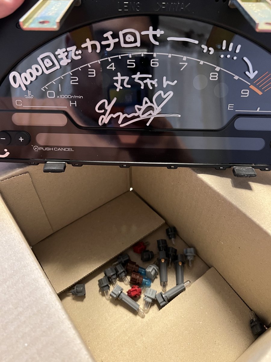 丸なのだっ☀️🧸 tweet media