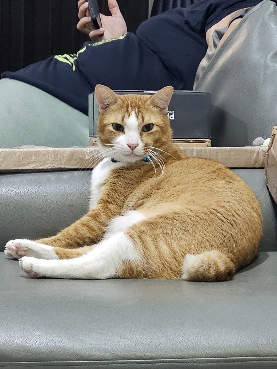 Coffee bae tweet media