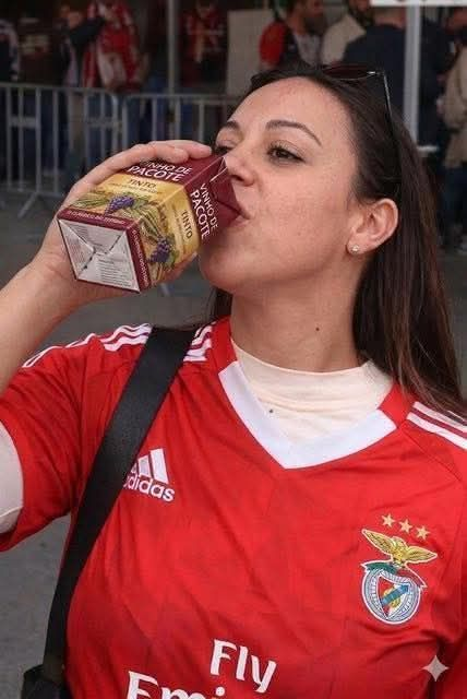 João Bizarro tweet media