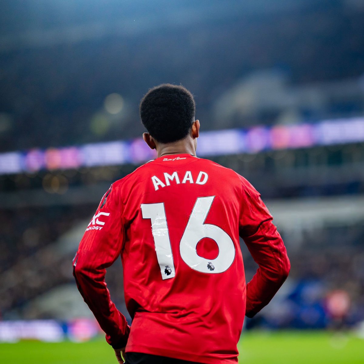 utdreport tweet media