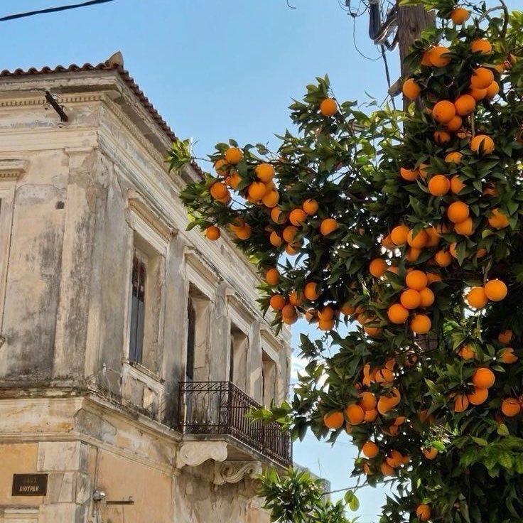 deni🕯️ tweet media