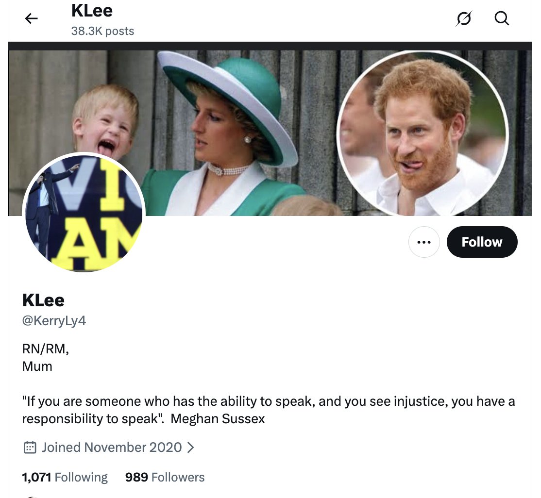 TheOnlyDuchess6's tweet image. Here are the 4 trolls who are going to be at the Besties weekend at Coogee intercontinental next weekend.

Thanks to @imjustbeingmeJ for discovering the 4th troll.

They're bunking together like teenagers, fangirling over a liar and cult leader.

#MeghanMarkle