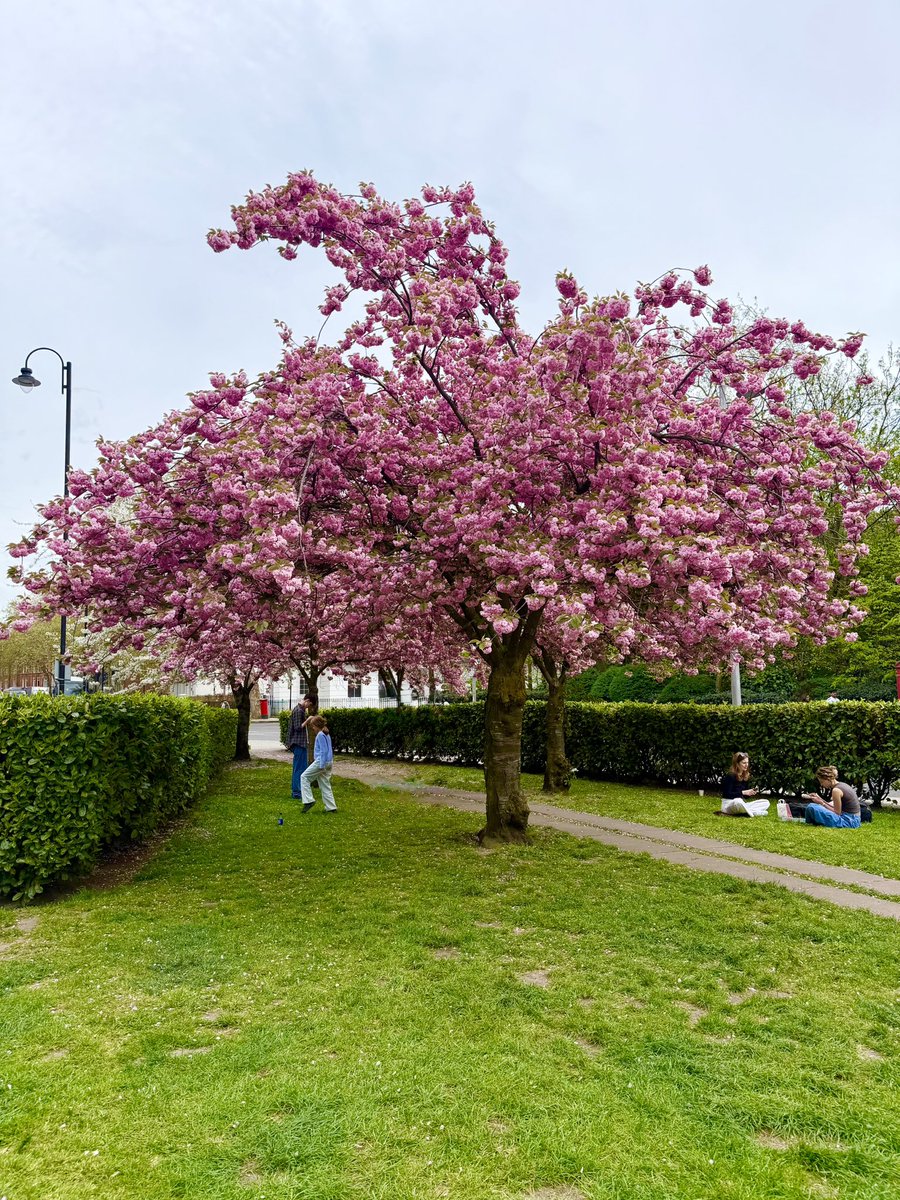 𝐏𝐀𝐓𝐎 tweet media