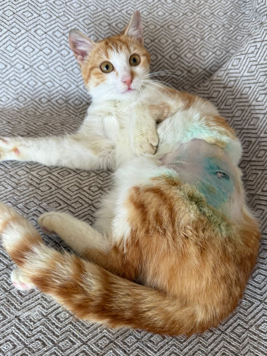 YUVA ARIYORUZ tweet media